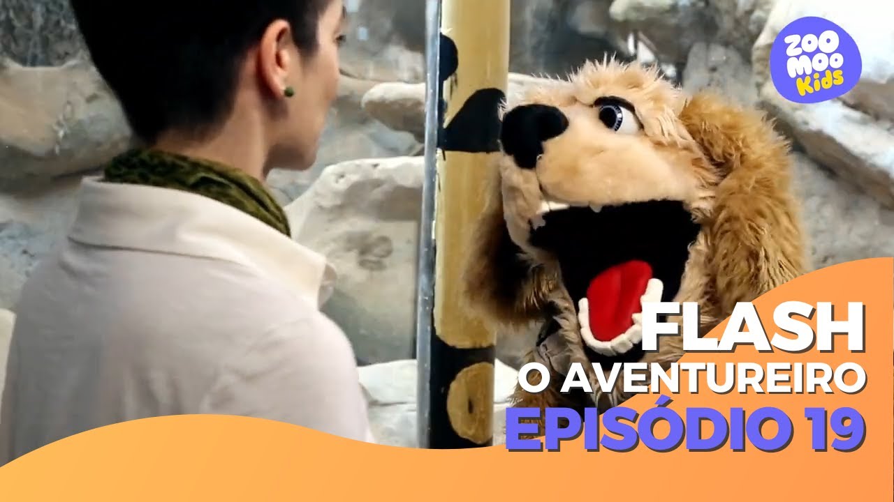 Flash, O Aventureiro | Episódio 19 | ZooMoo Kids