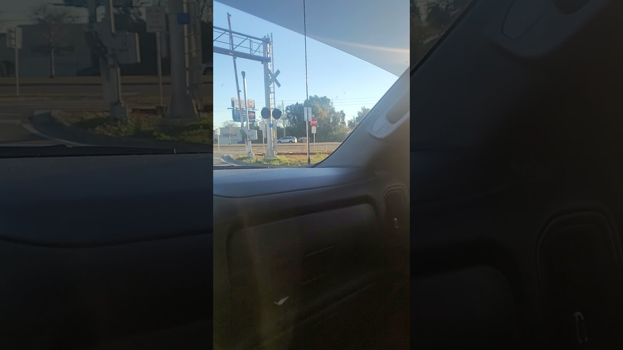 Tesla Plaid just got a beatdown by Tesla Assassin