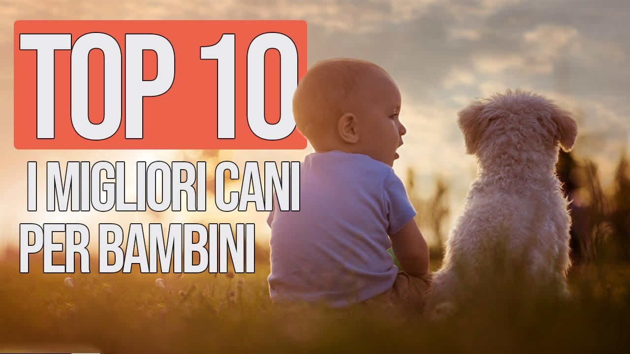 TOP 10 Migliori Cani Per Bambini