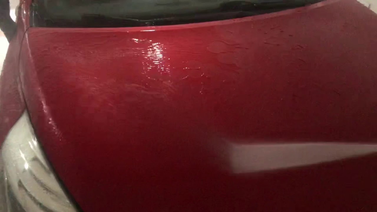 WaxPlanet Assasin & Armageddon Elegance First Wash After 2 Weeks