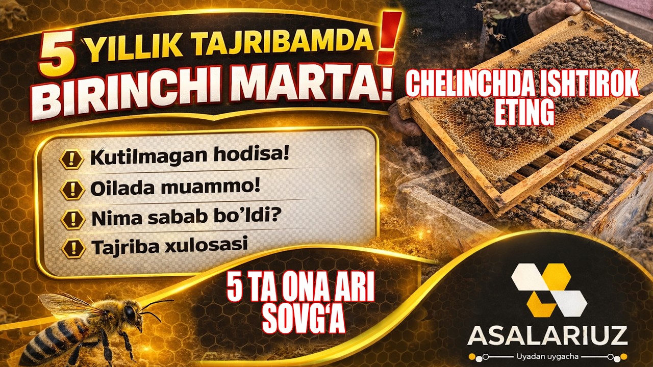 15 Mart  2026 yil. CHelinch elon qilamiz!!!