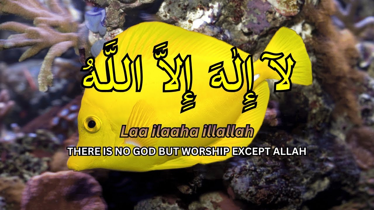 Daily Dzikir: Find Inner Peace with Lailahaillallah Recitation