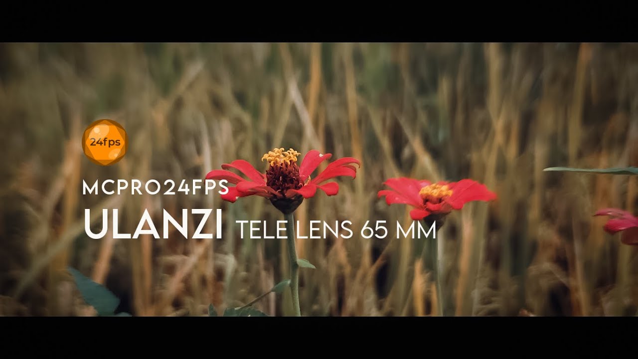 Dejavu - Video Sinematik Menggunakan Lensa Tele Ulanzi 65 mm / Mcpro24fps