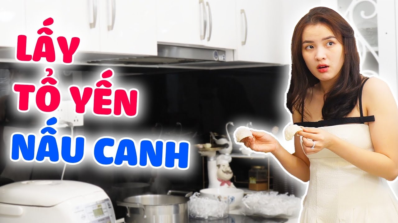 Lấy HẾT TỔ YẾN Nhà Ngân Ngân Để Nấu Canh Và Cái Kết | Ngân Ngân.