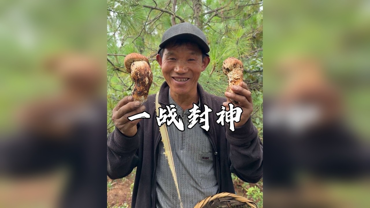 老爸靠5平米的松茸菌窝一战封神