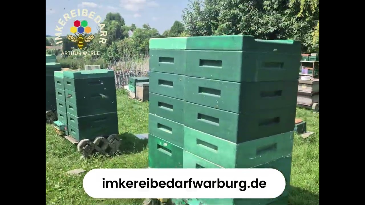 „Pollenfallen richtig einsetzen – warum Bienen dabei aggressiver werden“