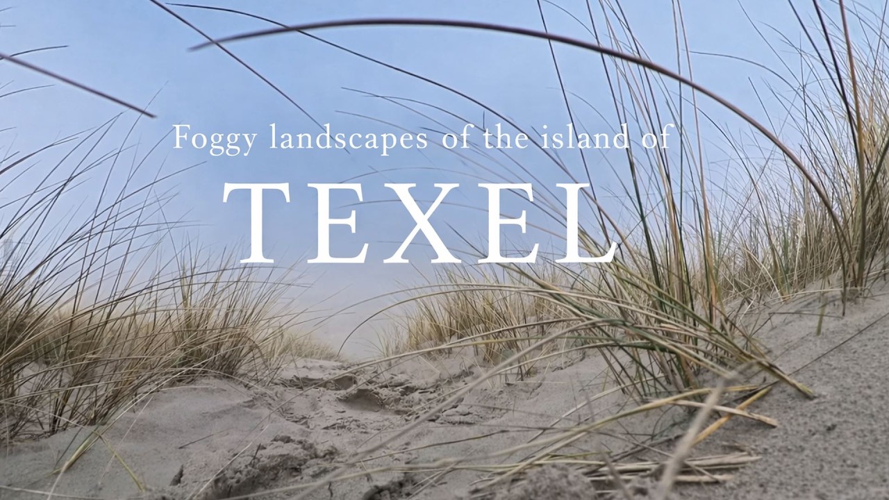 Foggy landscapes of the island of Texel