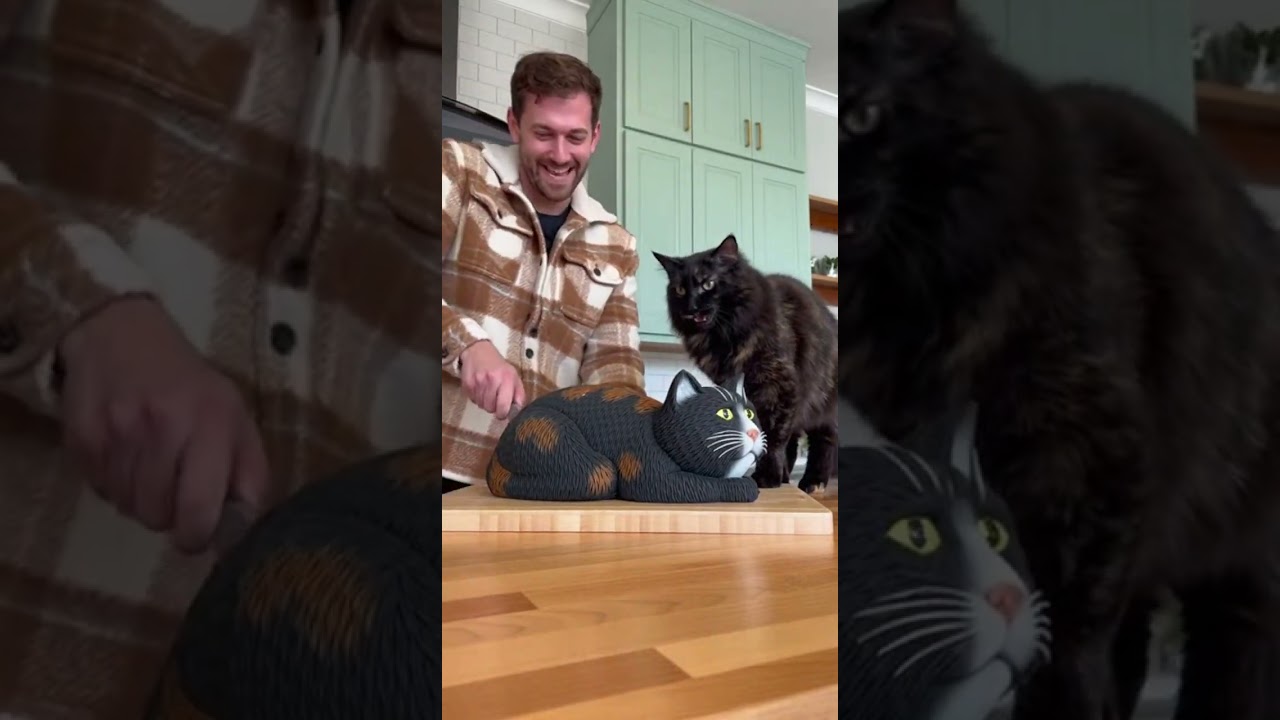 This Calico Cat Has the Sweetest Expressions 😺💖 