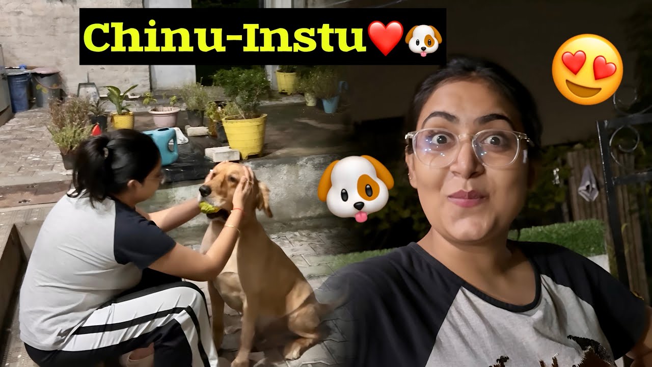 Chinu aur Instu ki masti😍🐶