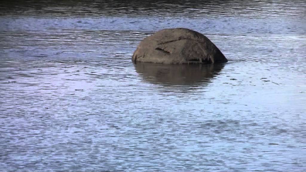 Wooden Boulder
