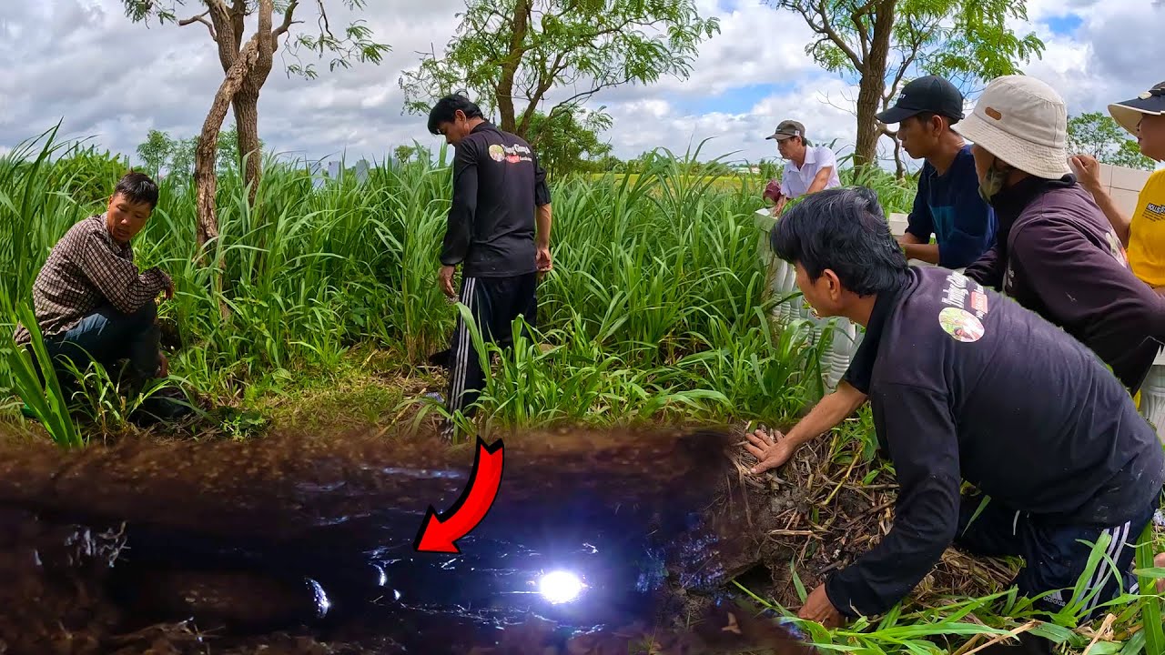 Trở lại sau 2 năm, bắt con Rắn Hổ Mang nằm bên trong Kim Tĩnh | TGSB #710
