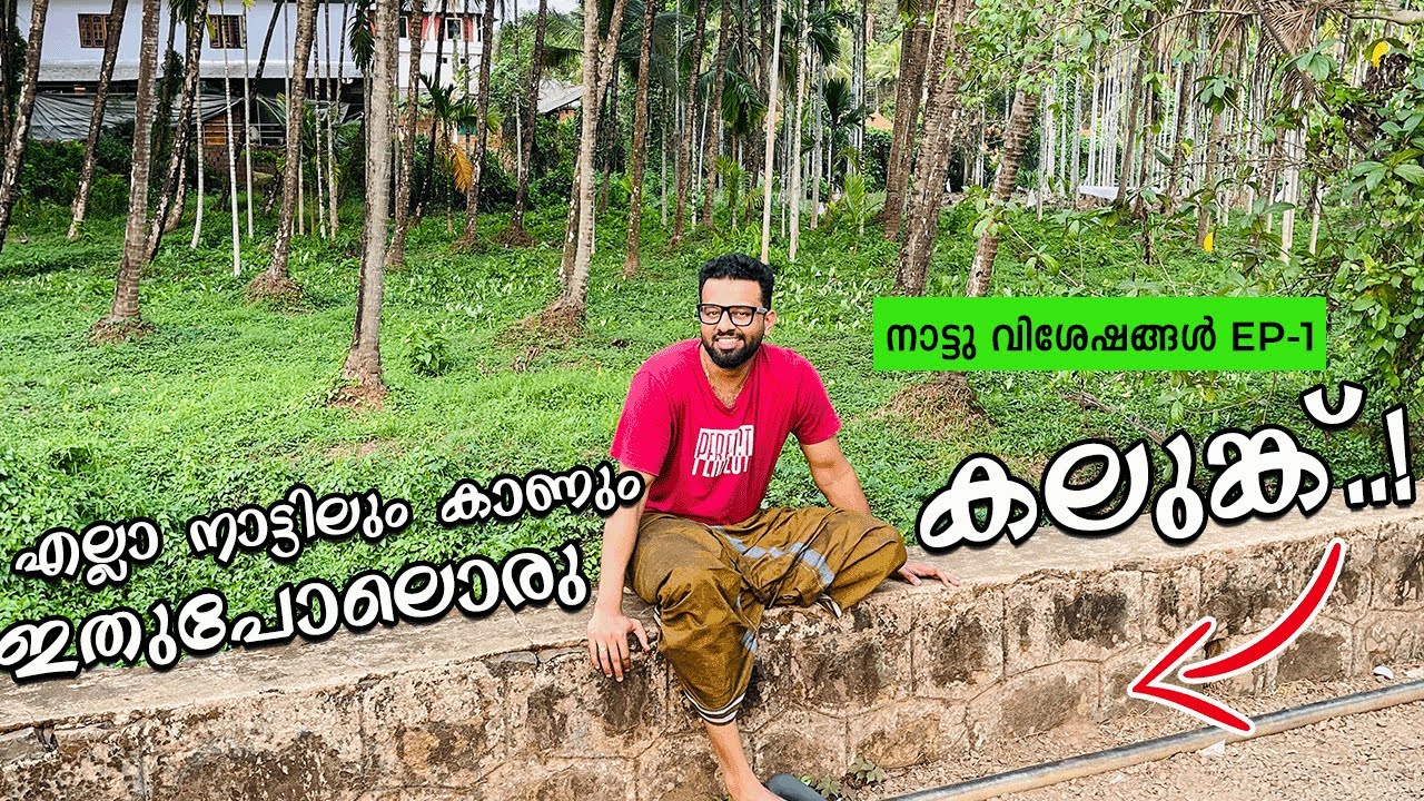 എല്ലാ നാട്ടിലും കാണും ഇതുപോലൊരു കലുങ്കും ചെറുപ്പക്കാരും | RJ Sooraj Vlog | നാട്ടു വിശേഷങ്ങൾ | EP - 1