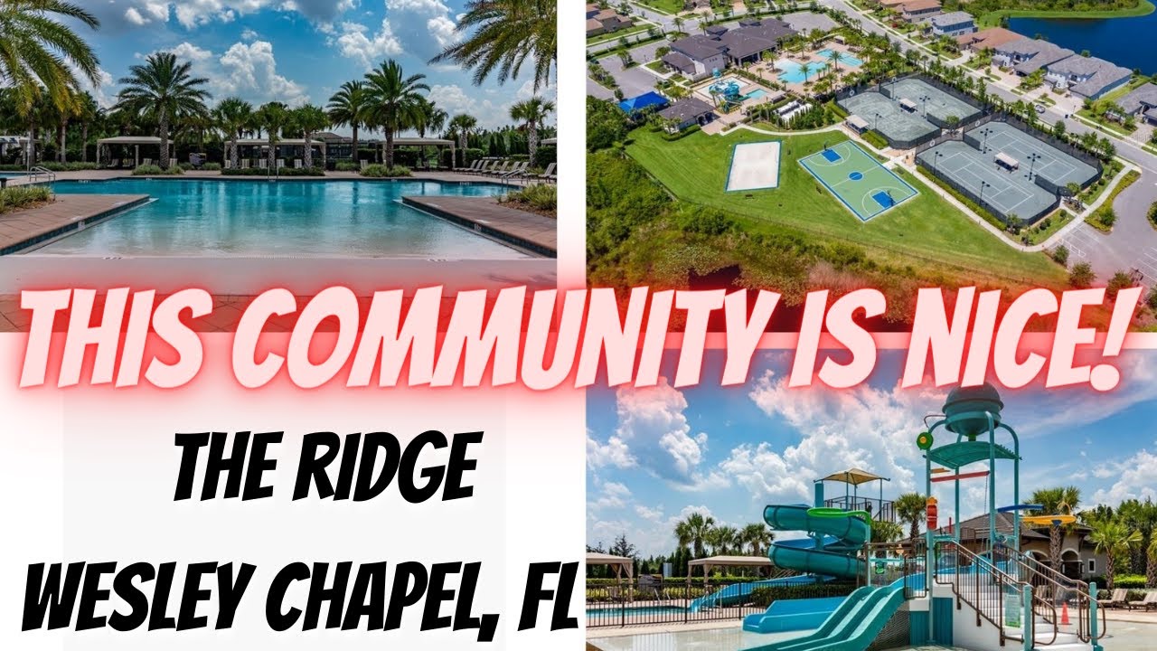 The Ridge Wesley Chapel Drive Thru | Tampa Bay Florida