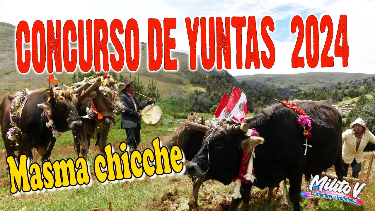 GRAN CONCURSO DE LA YUNTA ( Una costumbre ancestral del centro del perú)