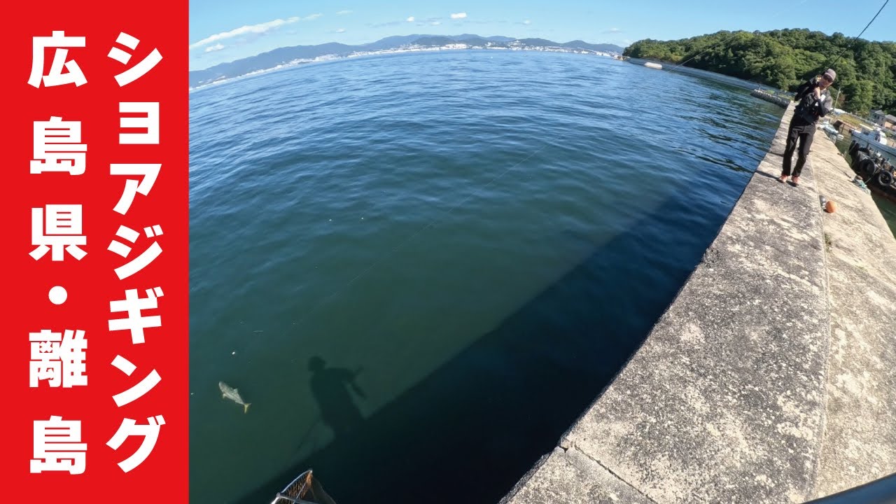離島編ラストは大型青物で飾る！広島県の離島でショアジギングしたらほぼみんなブリが釣れた...