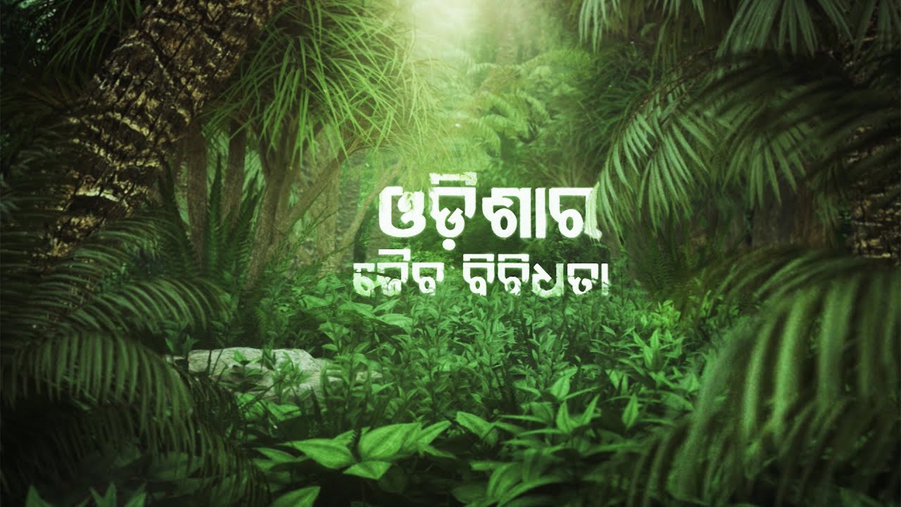 BIODIVERSITY OF ODISHA || ଓଡ଼ିଶା ର ଜୈବ ବିବିଧତା