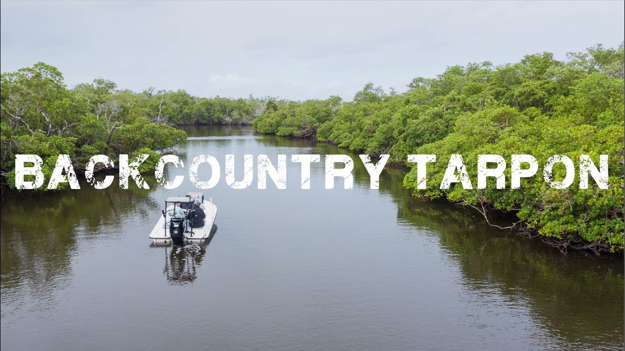 Back country Tarpon in Naples, FL [ For the Love of the Game ep. 3 ]