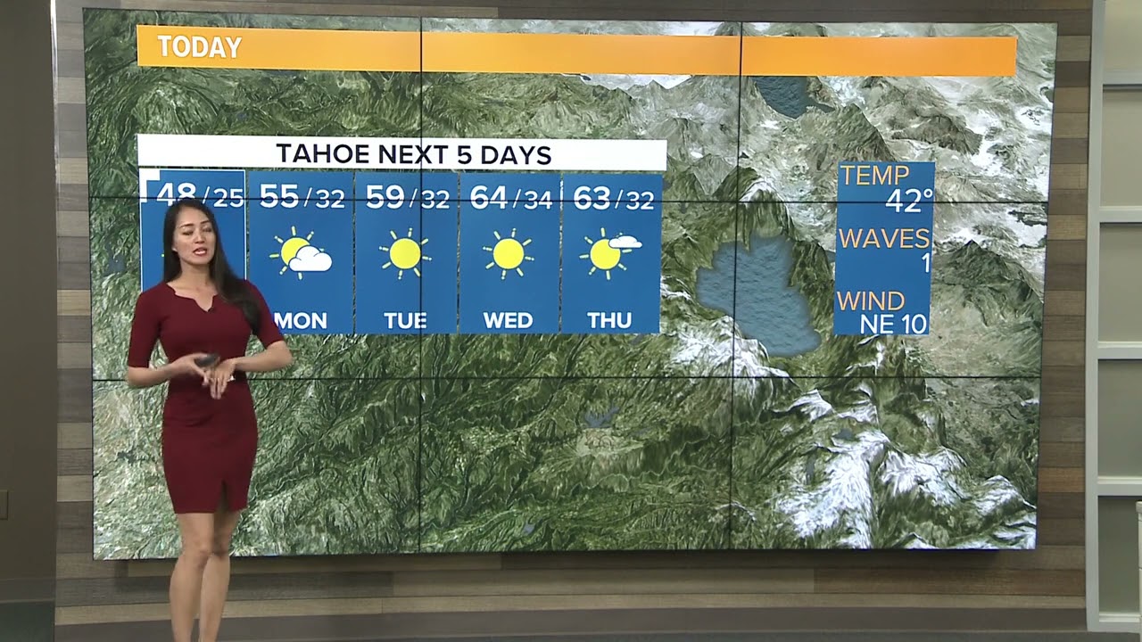 Michelle Apon Forecast 03202002