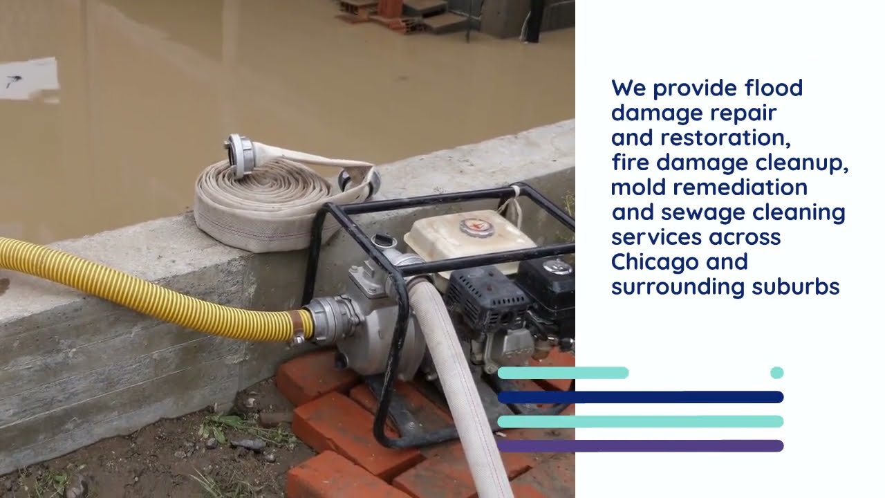 Mold Removal, Flood Cleanup and Water Damage Restoration Service in Chicago | The CleanUP Guys
