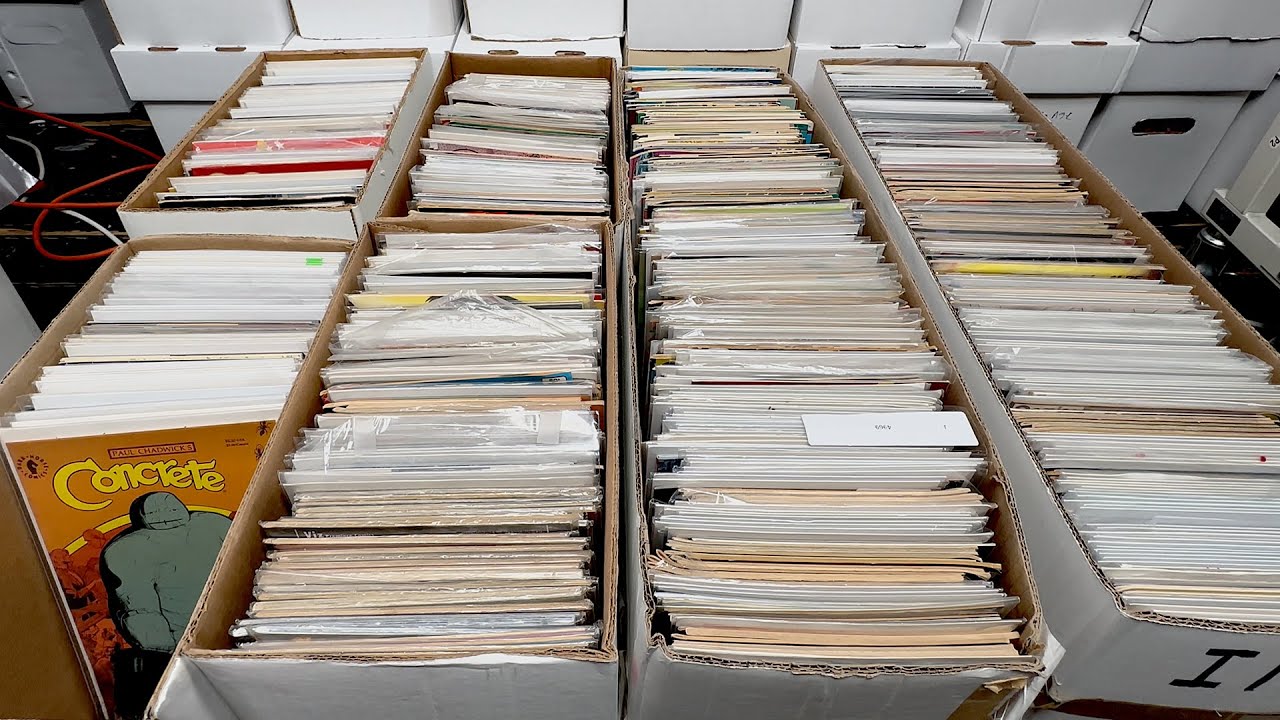 Insane Dollar Bin Comic Haul: Over 1200 Comic Books from Gotham Thrift!