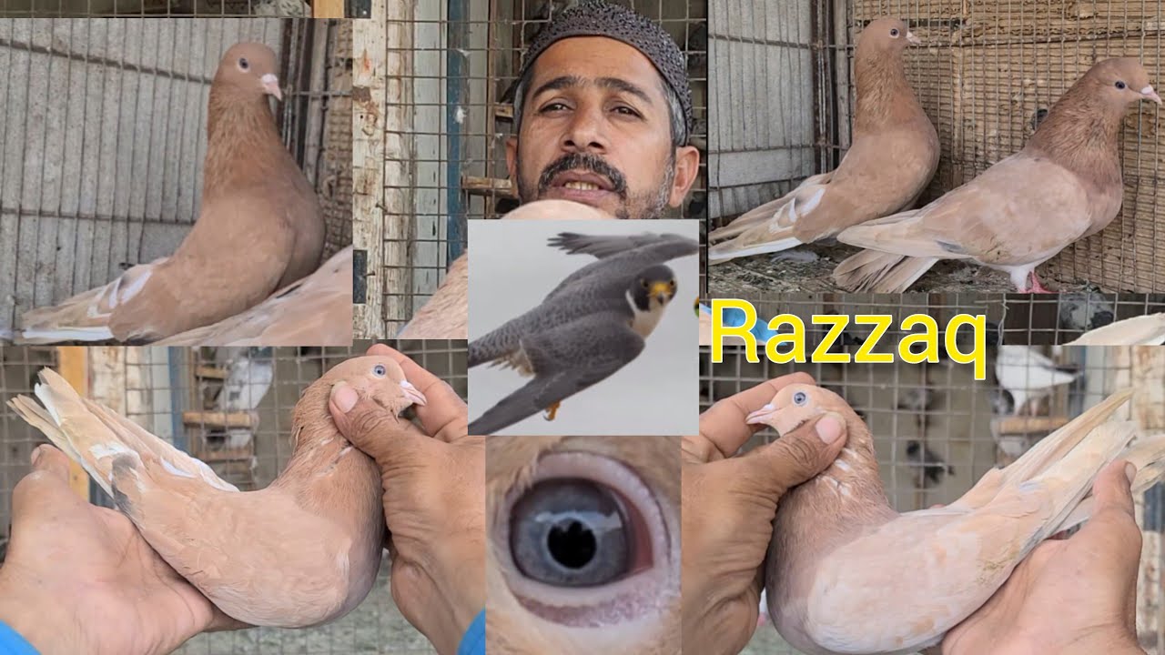 indian Khatang pair ka shok krein