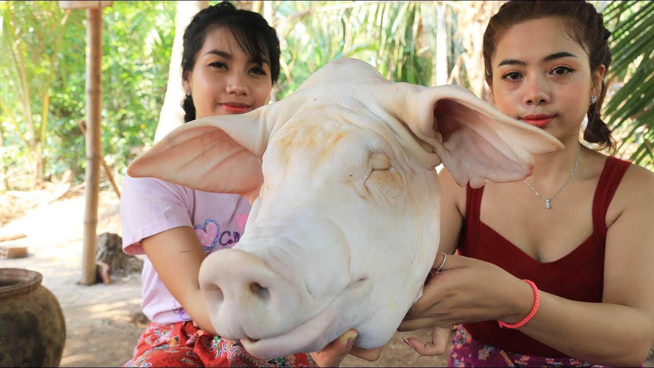 Yummy cooking Pig head belly recipe - Cooking skill