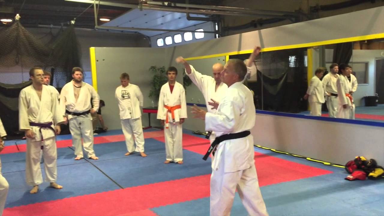 heian godan bunkai kissaki-kai karate