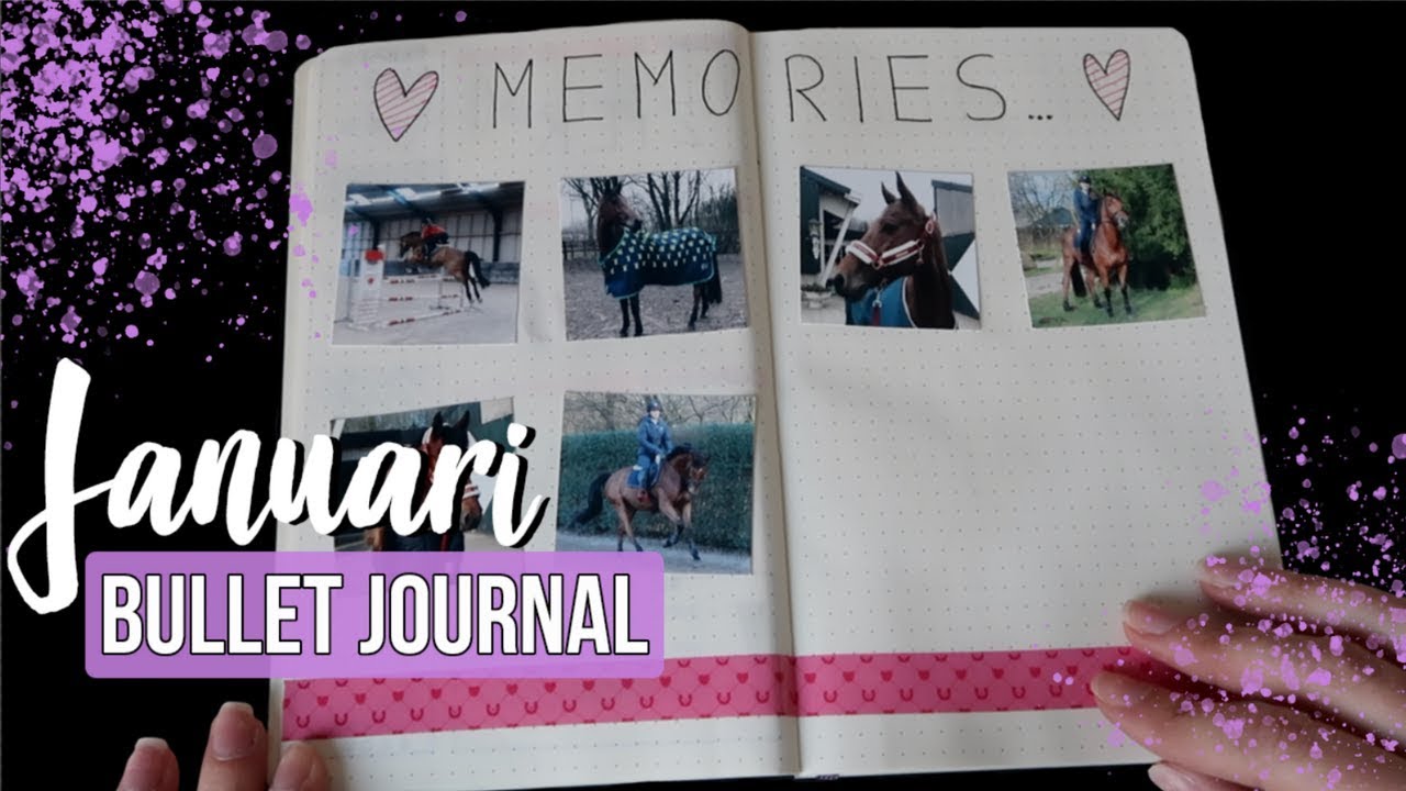 Horse Bullet Journal #1
