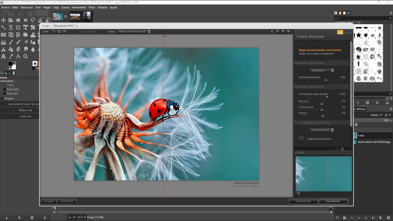 Como Instalar Nik Collection en GIMP