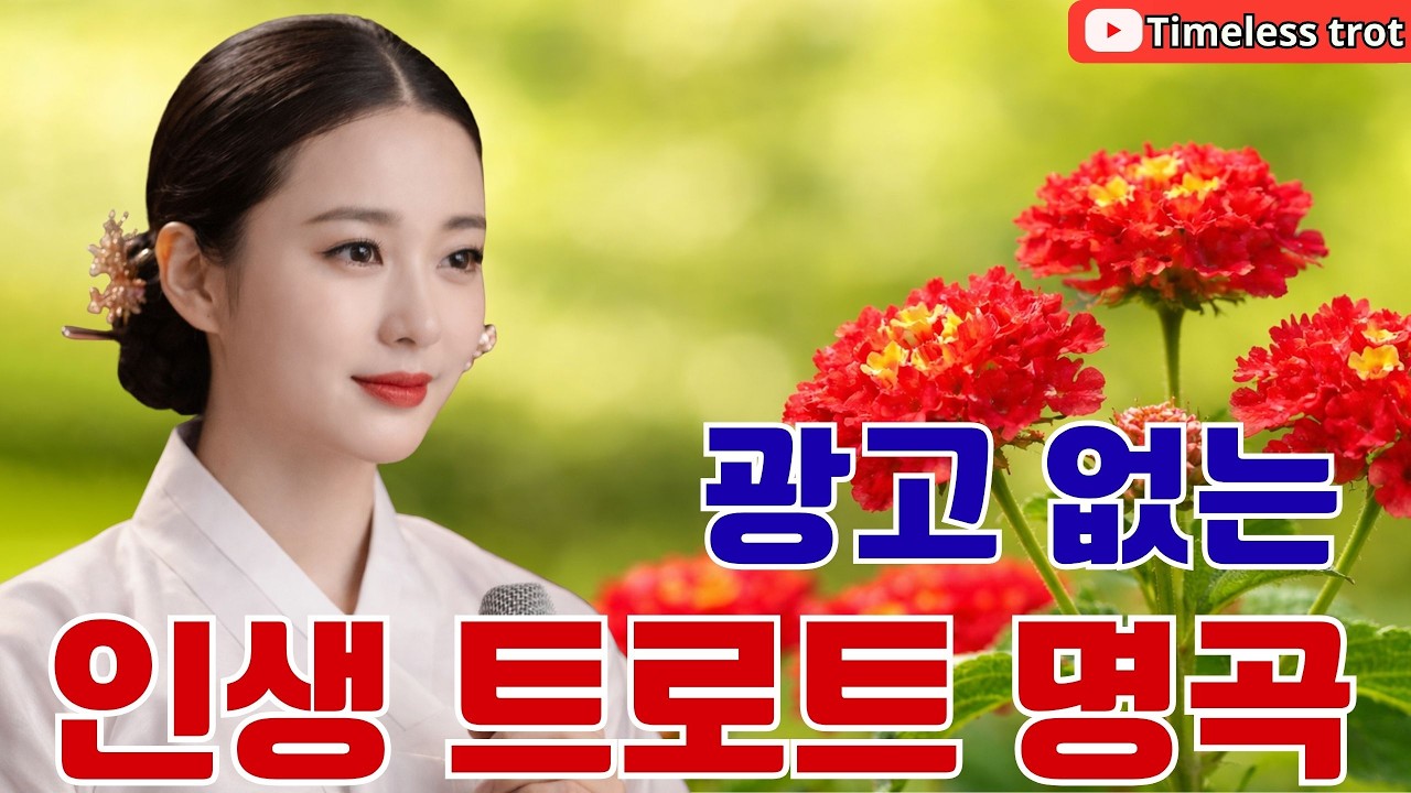 정통 트로트 명곡 모음 🎧  인생 트로트 중년  👉 완벽하게 재편곡된 최고의 트로트 곡들