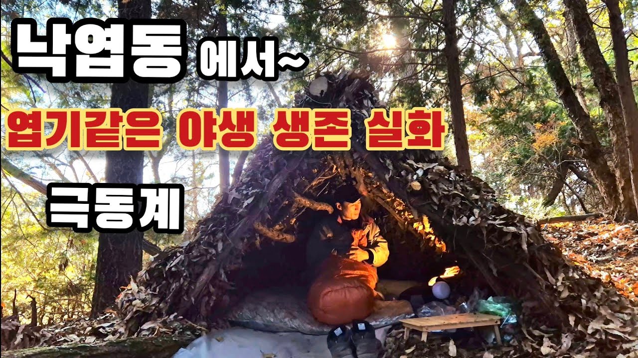 살아 돌아왔습니다 엽기같은 겨울 야생 생존 실화 낭만 극치의 비박 캠핑  동계 부쉬크래프트 차사랑캠프