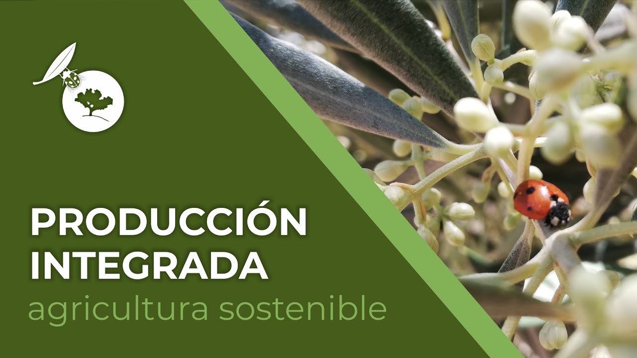 PRODUCCIÓN INTEGRADA - Agricultura sostenible para alimentos seguros, saludables y asequibles