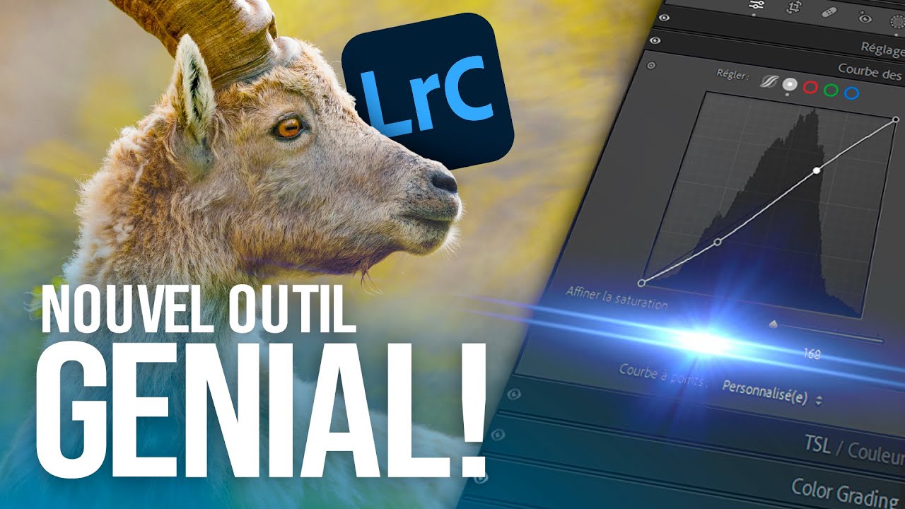 Lightroom 2025: Овладейте цветом в совершенстве