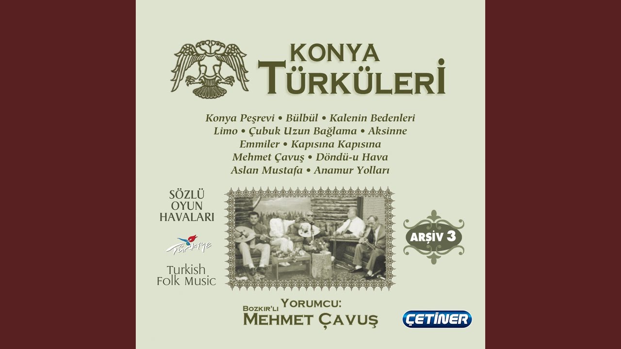 Mehmet Çavuş