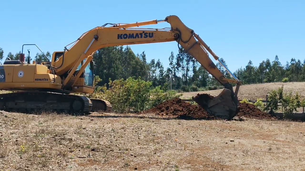 24 de febrero de 2026