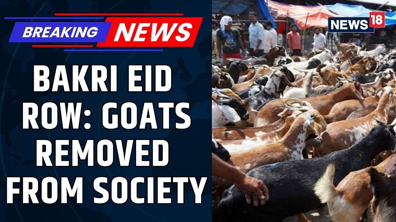 Mumbai Mira Road Bakri Eid Row | Goats Removed From Housing Society After Hindu Group Protests
