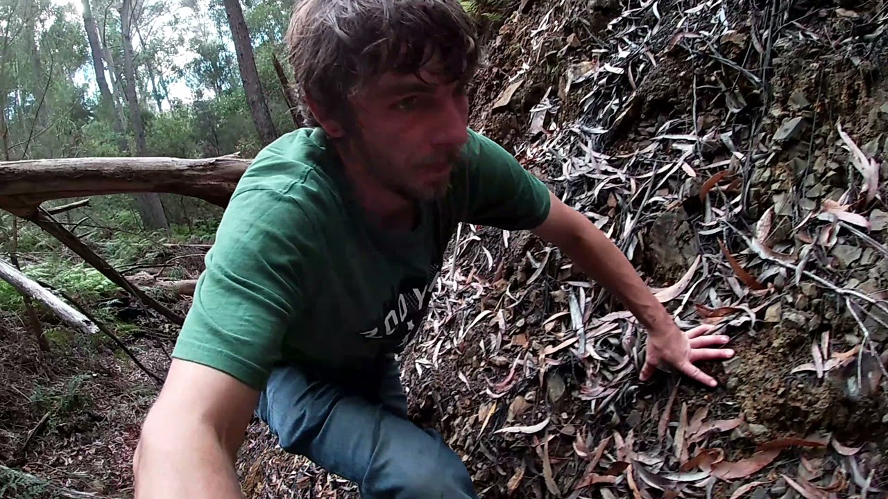 Searching for an old mine, in North East Tasmania!