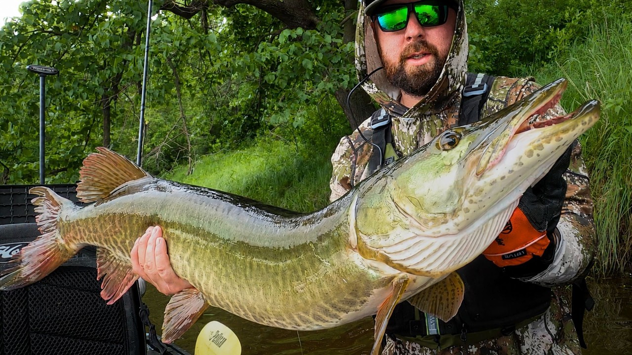 Bass Fishing Turned Into a Musky Battle – Berkley Choppo Got Wrecked