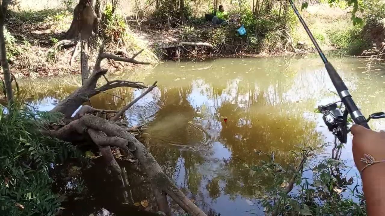 หาปลาครับผม