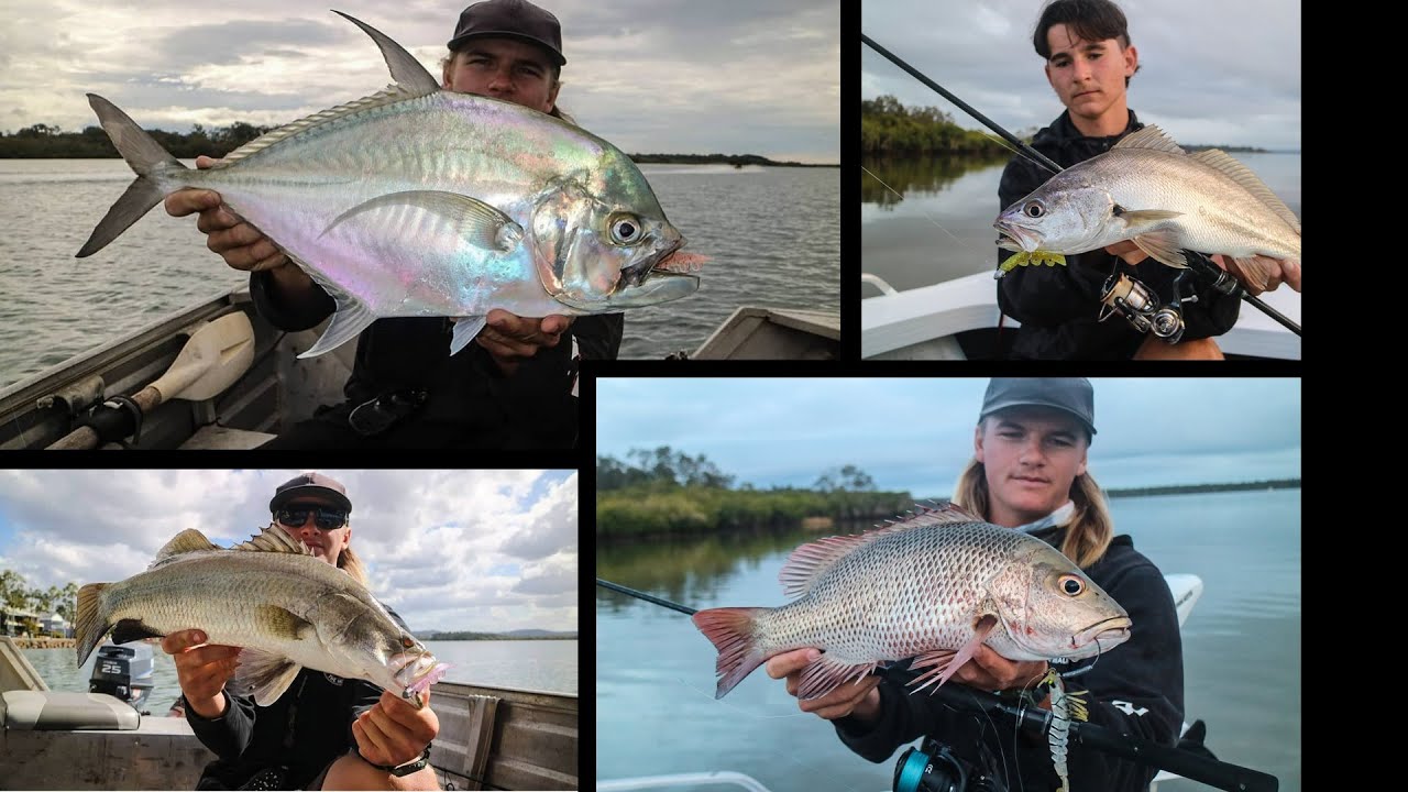 Fishing Sunshine Coast- Barramundi , Mangrove jack , Jewfish and Cale Cale Trevally. Noosa/Maroochy.