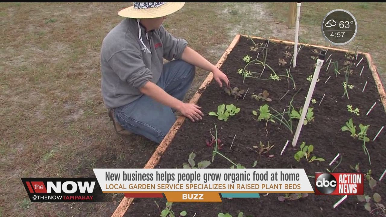 New business helps people grow organic food at home #thenowtampabay
