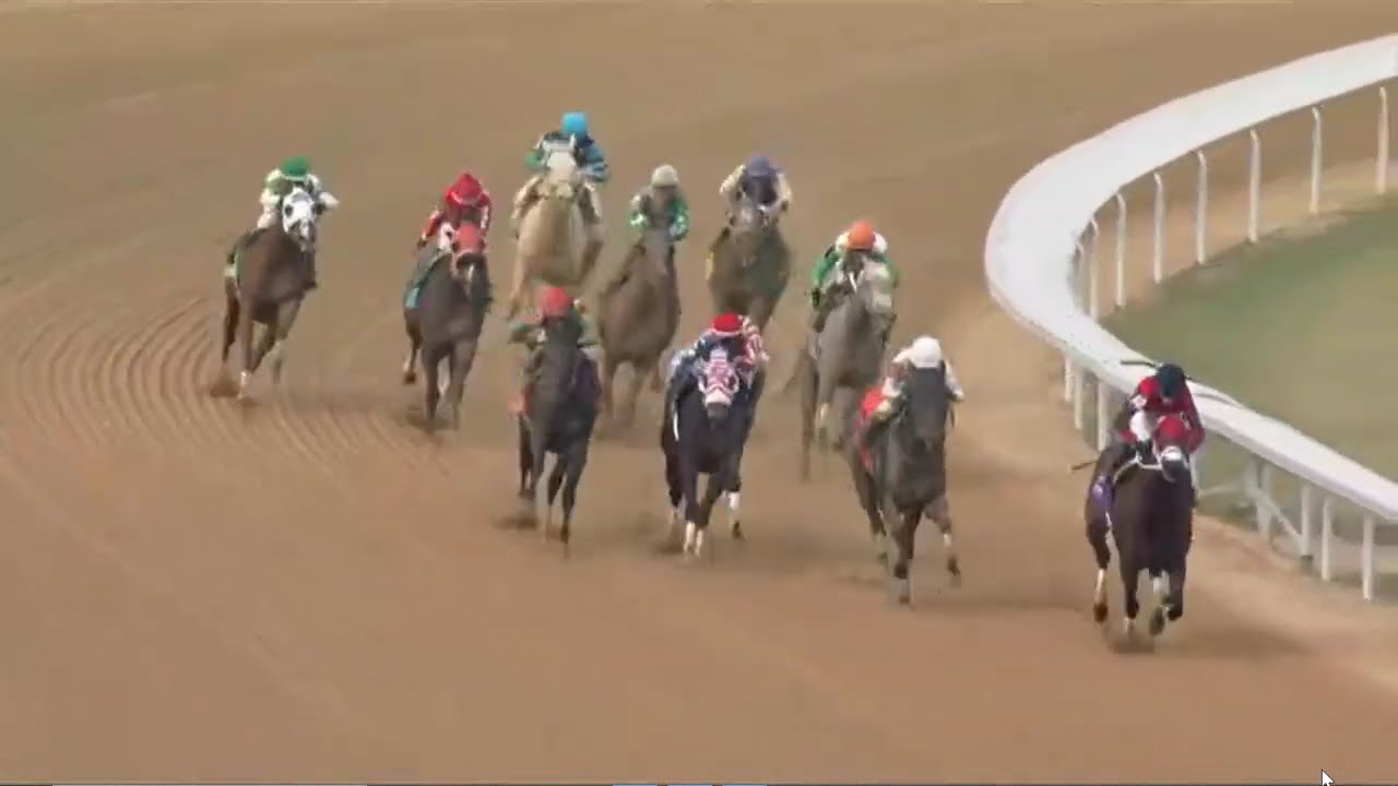 Oaklawn Park (USA) 13 Feb 2026   Race 7
