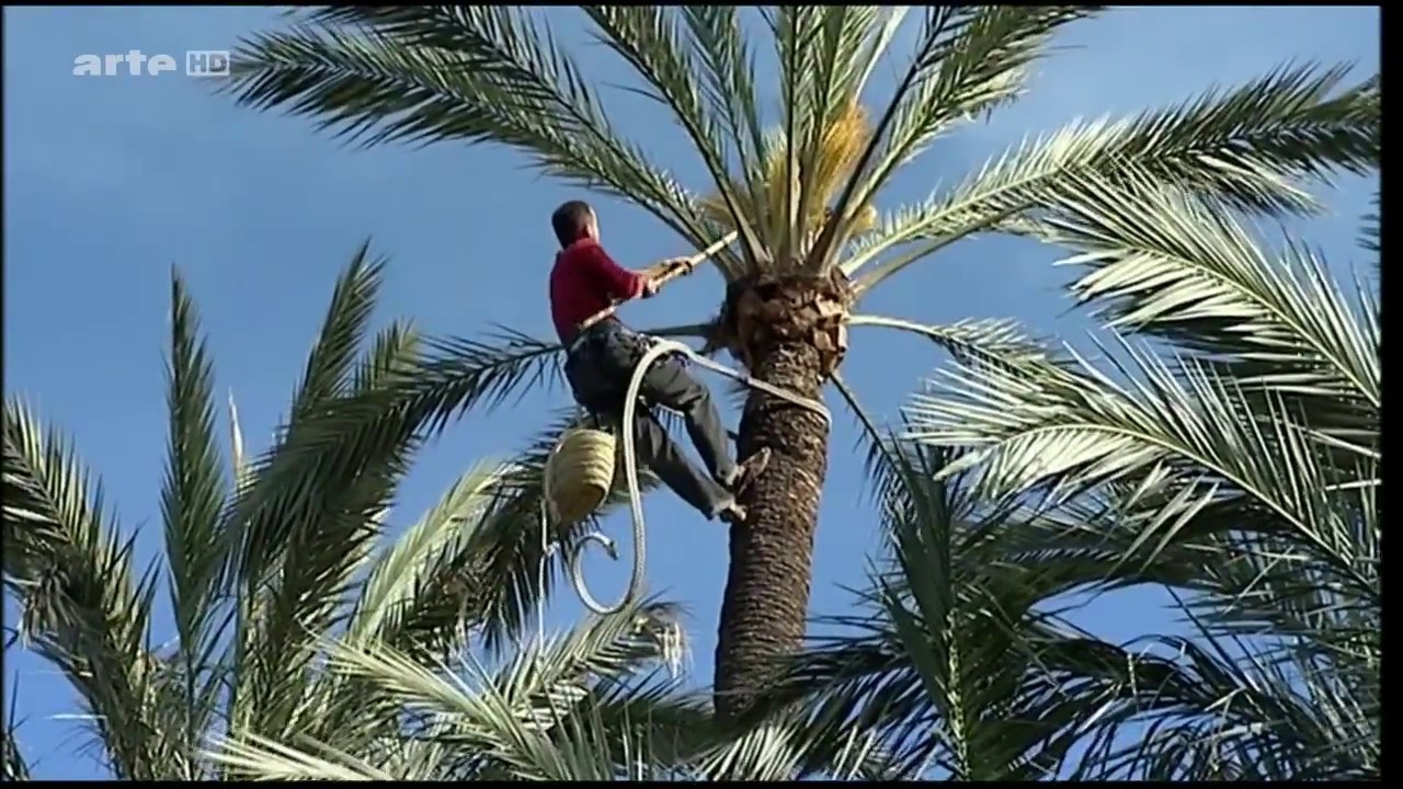 HD! Reisen f&uuml;r Genie&szlig;er: Spanien - Alicante [Doku]