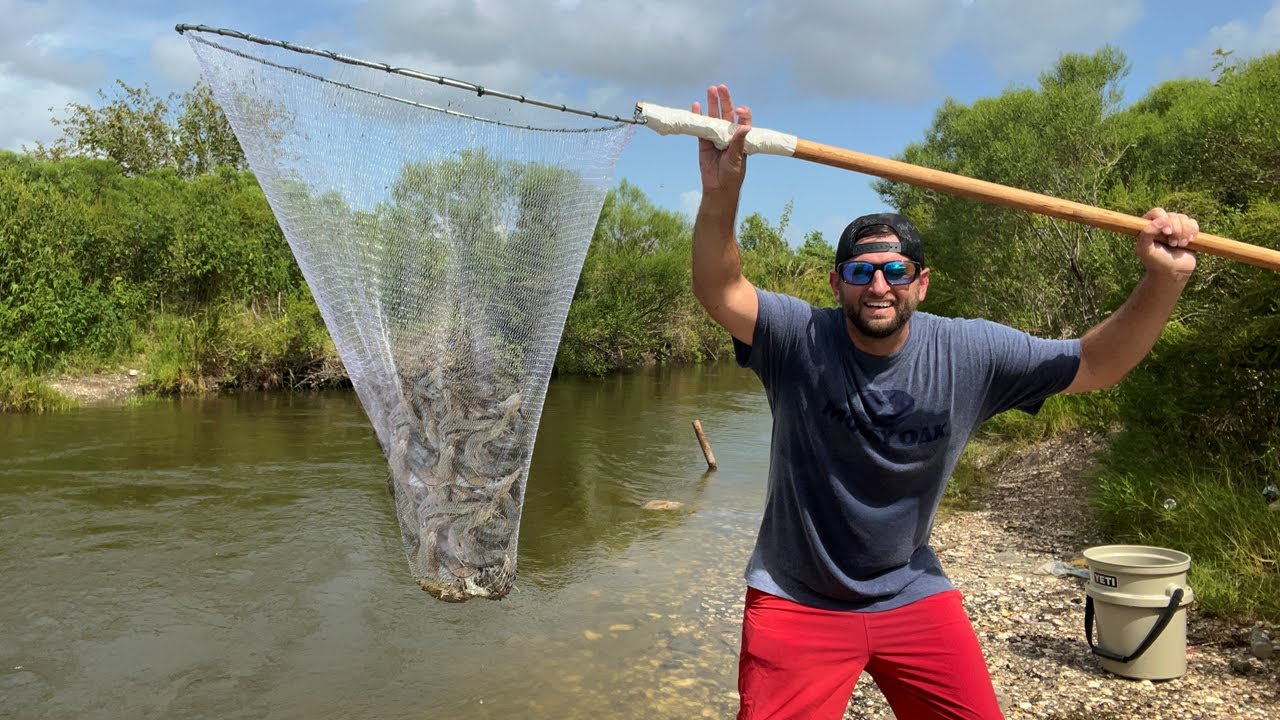 Scooping Up SHRIMP in a ROADSIDE DITCH (CATCH AND COOK)