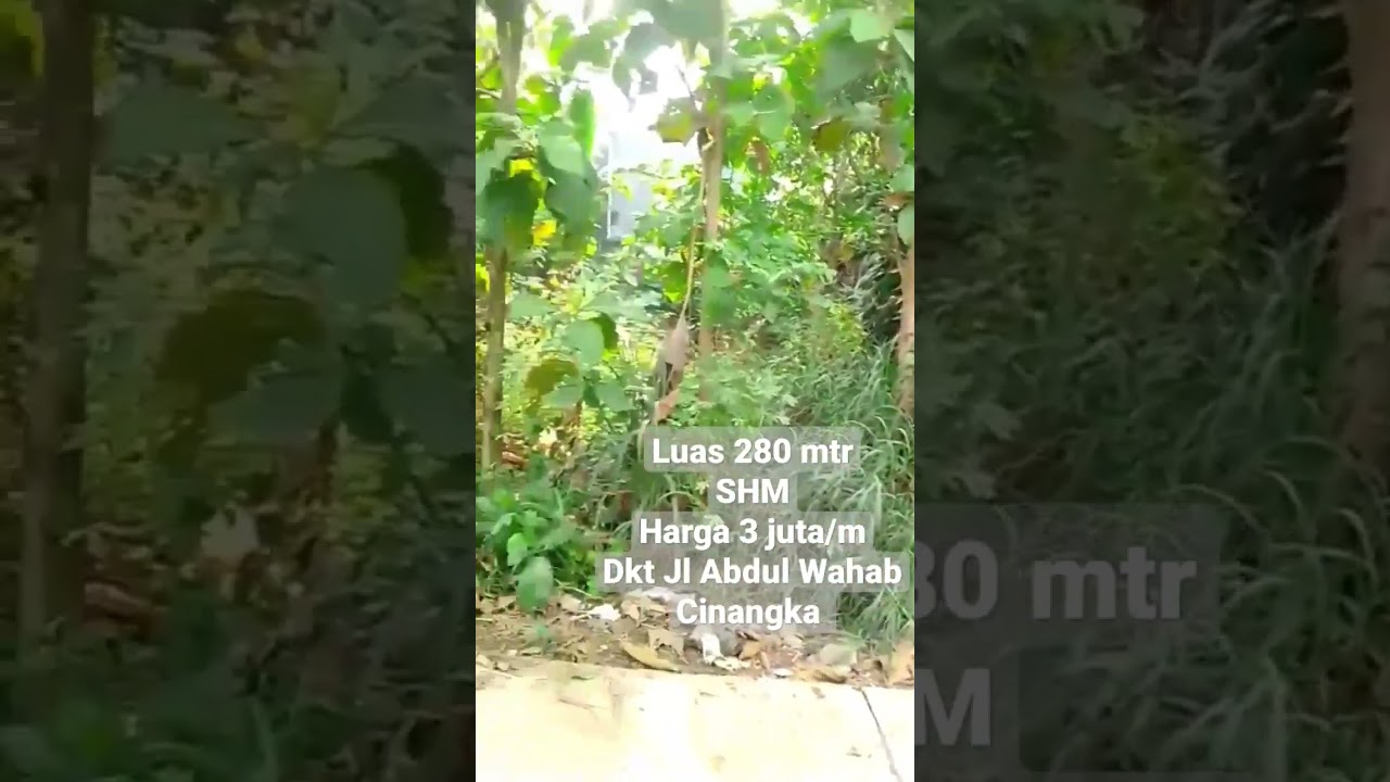 #shorts #tanahdijual#tanahcinagka #sawangandepok