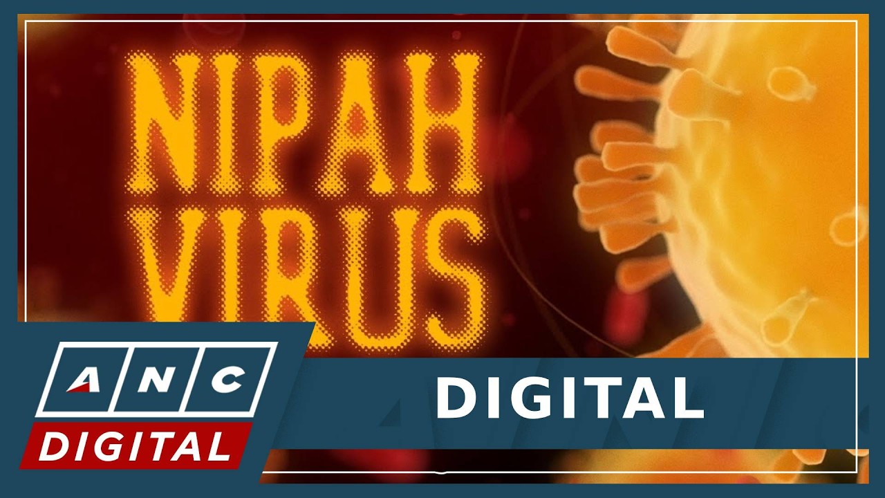 Nipah virus: What you need to know as cases emerge in India | ANC