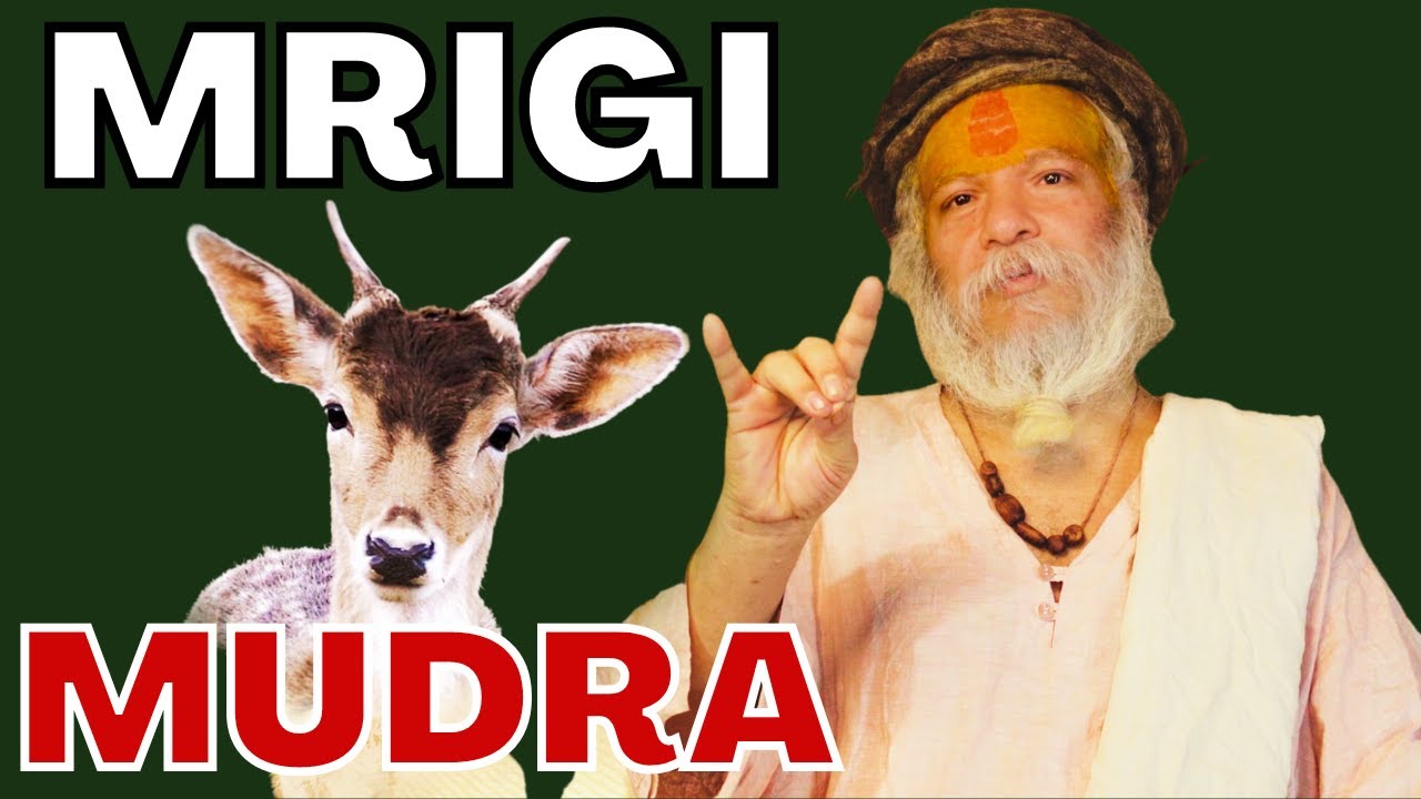 मन को वश में करने वाली यह मृगी मुद्रा बहुत उपयोगी और सहयोगी हैं।