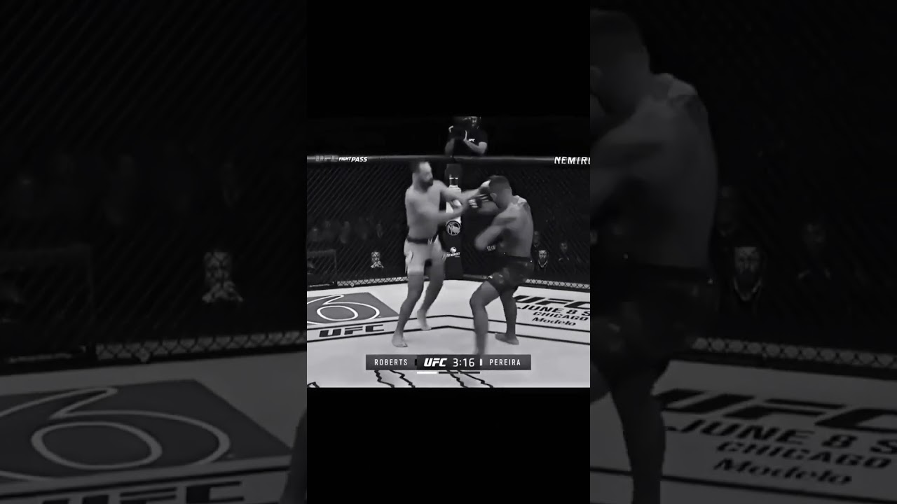 @ufc @UFCBR @CrazyUFCFighters Michel Pereira🥷⚔️🔥