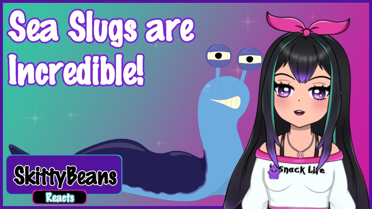 Cozy Vibes Reaction | Sea Slugs are Cool! | #react #reaction #animals #vtuber #cozyvibes #seaslug
