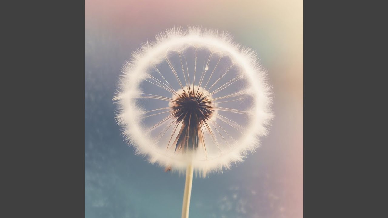 A Soul You Heal